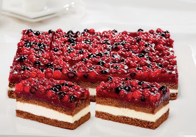 PLANCHA FRUTOS DEL BOSQUE