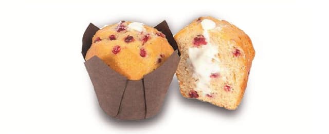 TULIPA DE YOGURT Y ARANDANOS